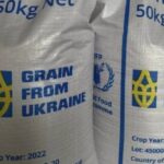 Українське зерно доставили в Нігерію кораблем, що прибув із Туреччини