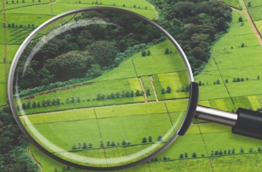 Перевірка земельної ділянки перед купівлею у 2024 році