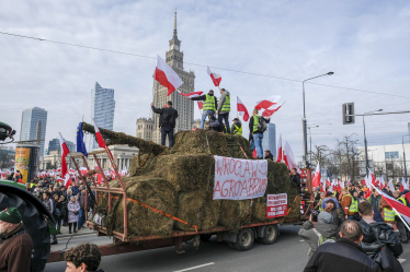 фермери, Польща /Getty Images