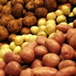 В Україні картопля подешевшала на 13% – EastFruit