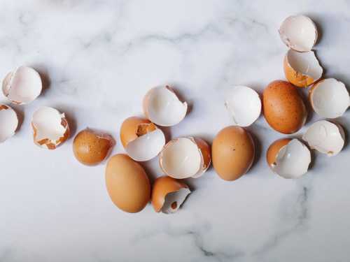 Яєчна шкаралупа на дачі: користь і шкода — розвіюємо міфи