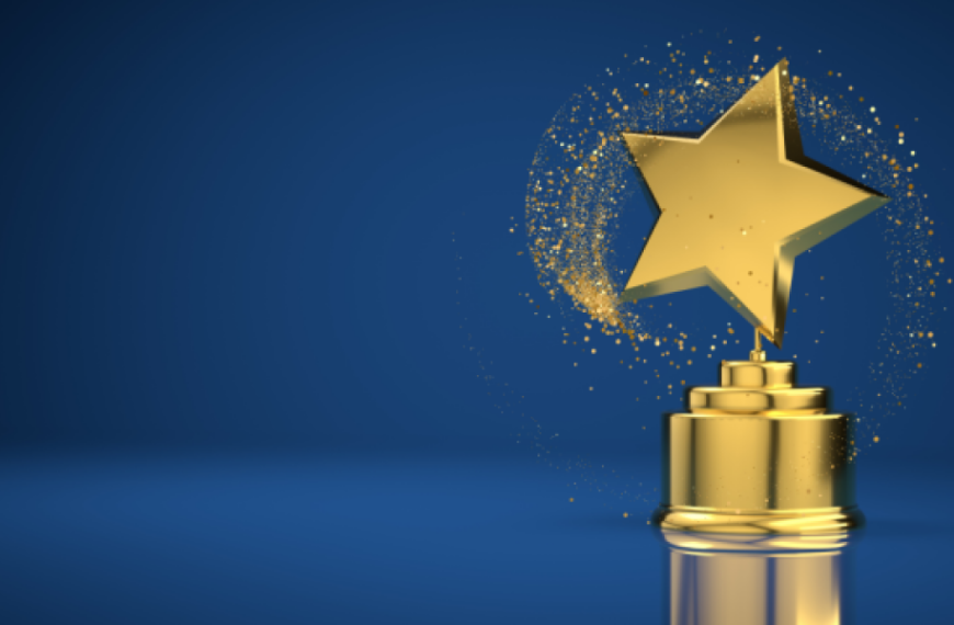 DREAM отримала міжнародну премію за ефективність управління процесами відновлення