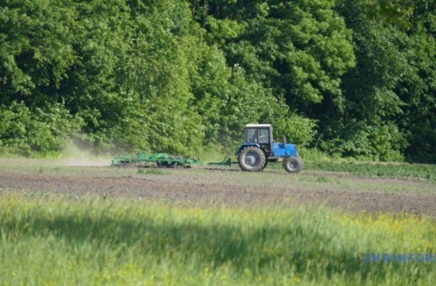 В Україні аграрії вже засіяли 97% від прогнозованих площ