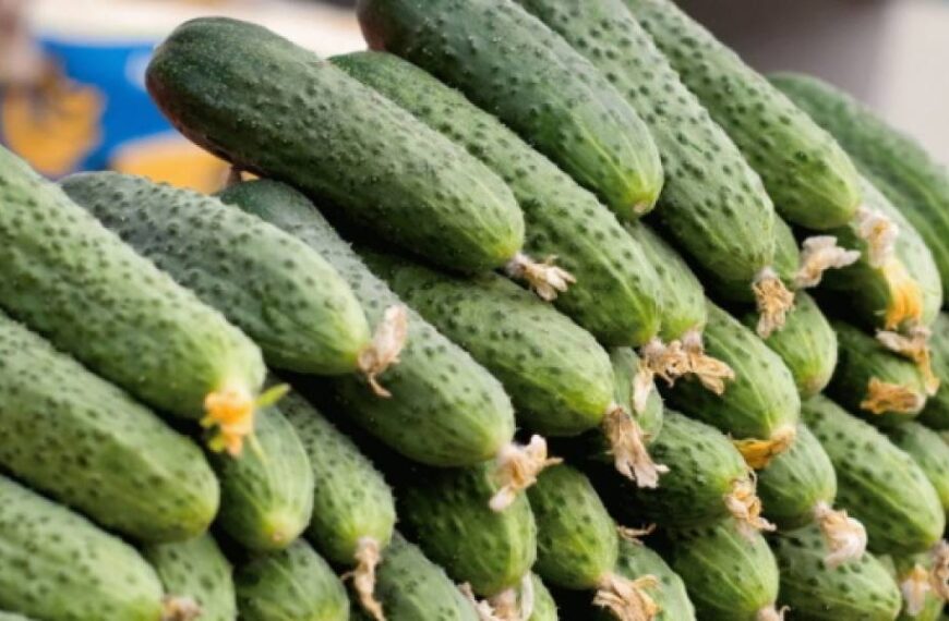 В Україні дешевшають тепличні огірки