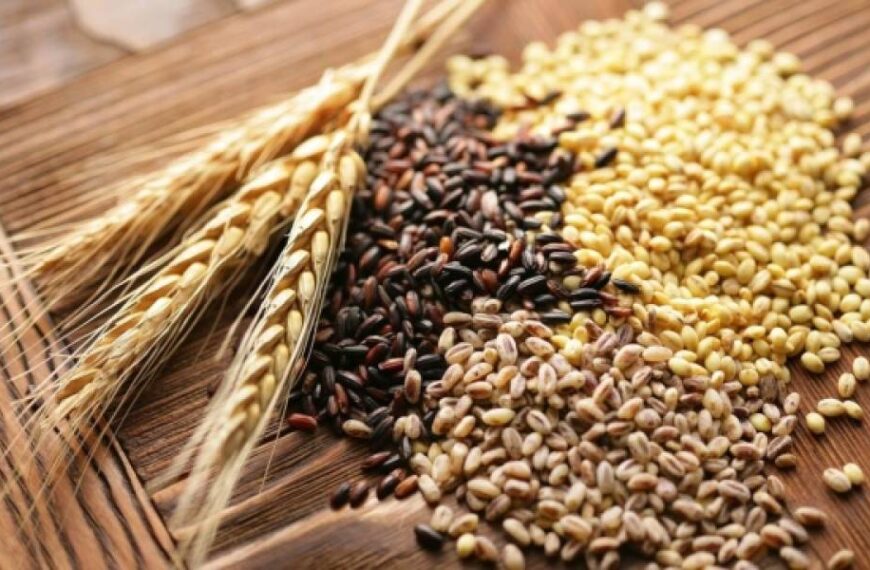 Українське насіння олійних та буряку отримало доступ до європейських ринків