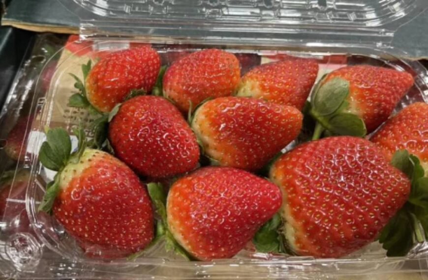 В Україні подешевшала садова суниця