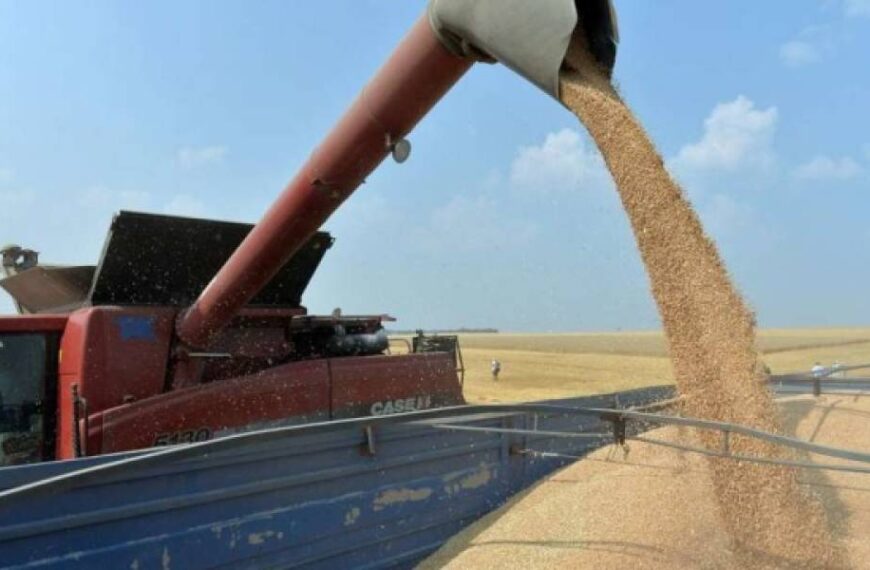 На Півдні стартували жнива – аграрії збирають озимі ячмінь та горох