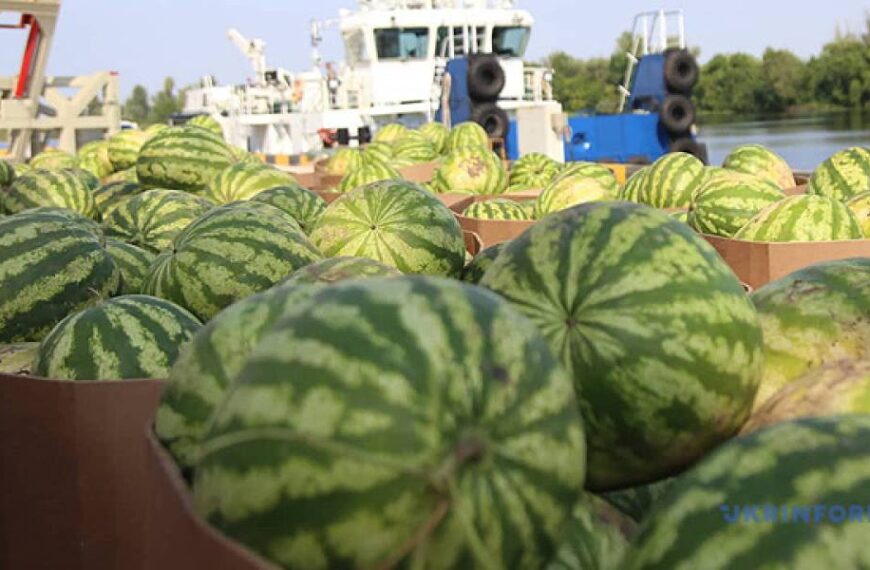 Україна цьогоріч імпортувала 7,26 тисячі тонн кавунів