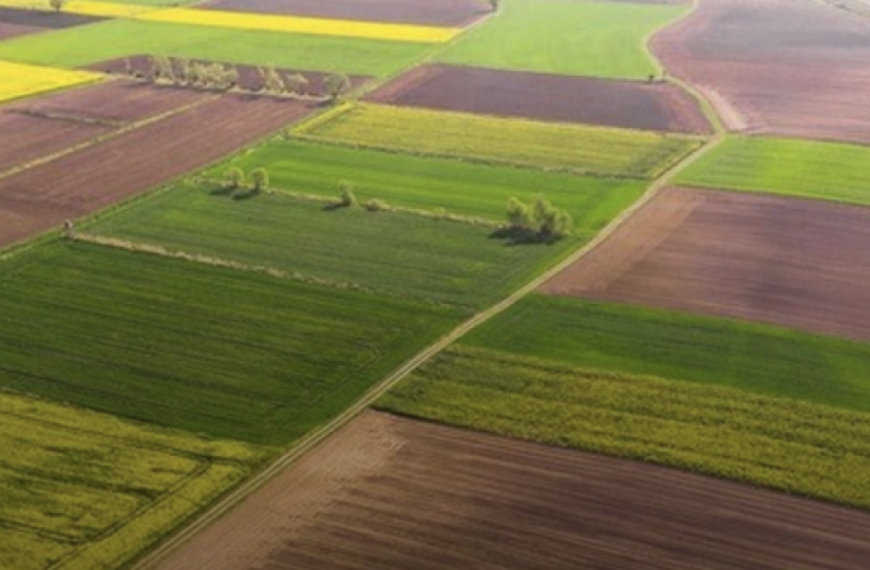 В Україні за чотири роки зареєстрували понад 8,6 тисяч агрофірм – Опендатабот