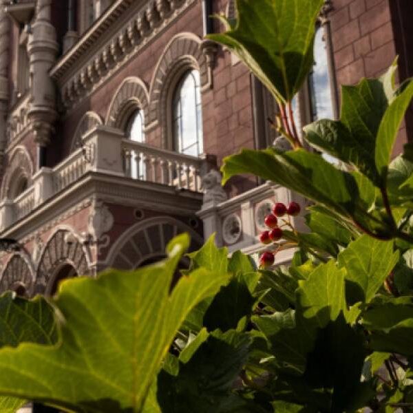 Нацбанк оголосив офіційний курс гривні на 1 серпня