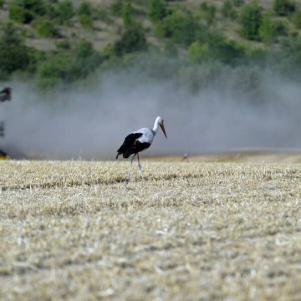 Уряд посилює підтримку аграріїв у прифронтових регіонах