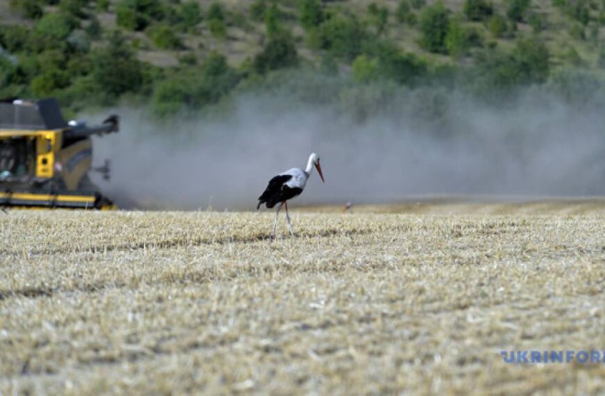 Уряд посилює підтримку аграріїв у прифронтових регіонах