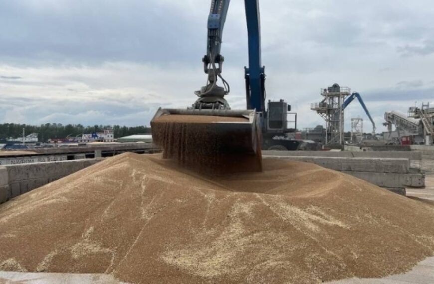 Україна у новому сезоні експортувала майже 800 тисяч тонн зернових