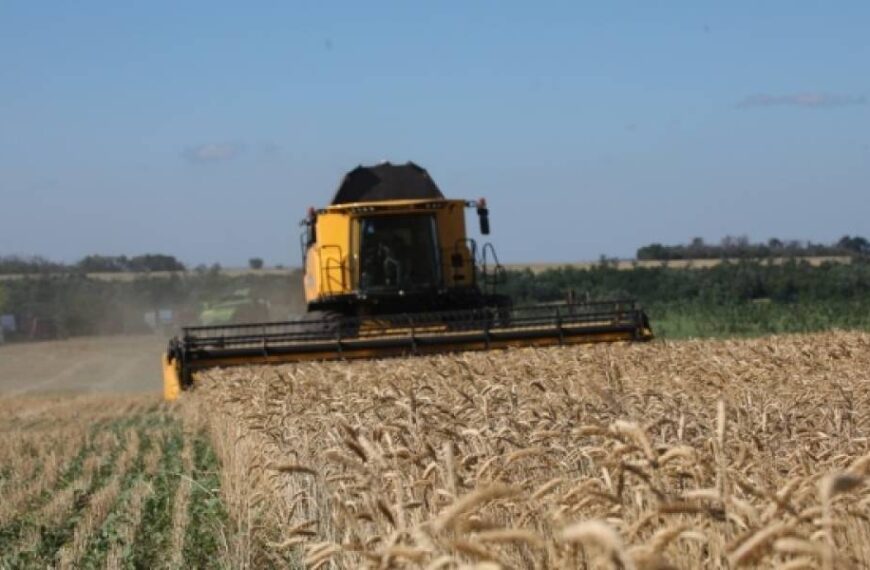 В Україні зібрали вже понад 10 мільйонів тонн зерна нового врожаю