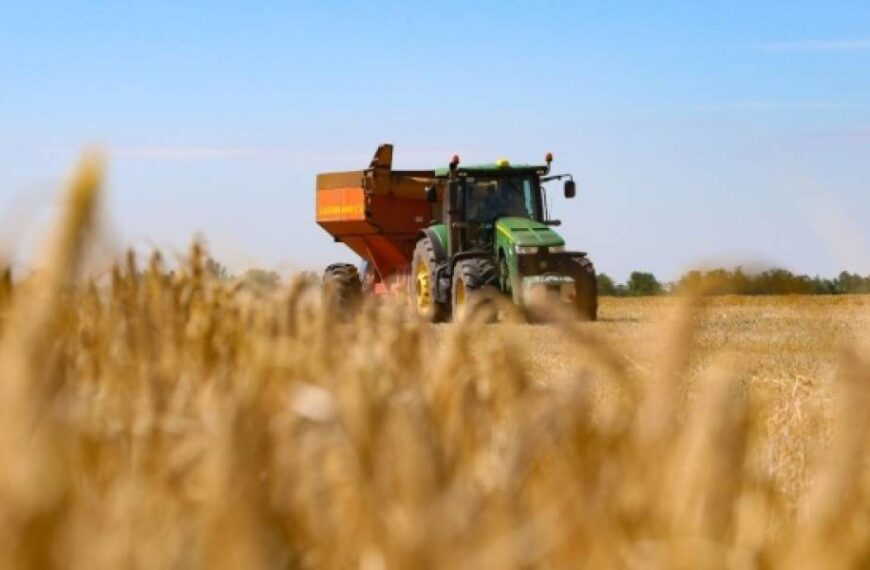 Прогнозований обсяг урожаю пшениці значно перевищує потреби внутрішнього ринку – Висоцький