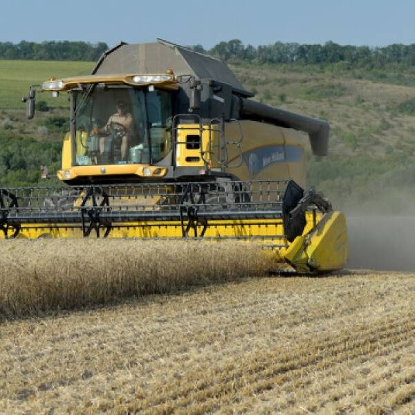 На Донеччині обмолотили понад половину запланованих площ – 44,59 тисячі гектарів