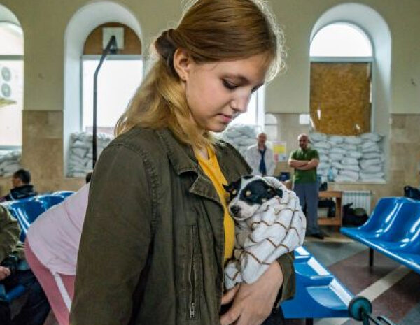 Виплати ВПО — кому і за що можуть припинити платити фінансову допомогу