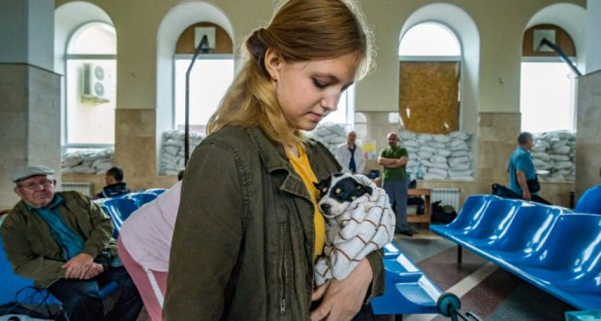 Виплати ВПО — кому і за що можуть припинити платити фінансову допомогу