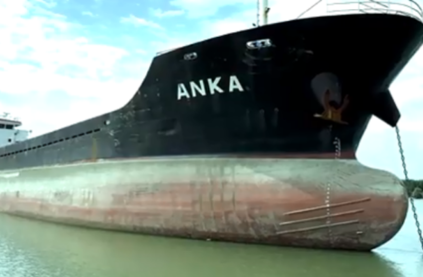 АРМА реалізує морське судно «ANKA», що незаконно заходило до порту Криму