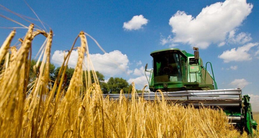 Врожай в Україні: аграрний експерт розповів, в яких регіонах найгірша ситуація у 2025 році