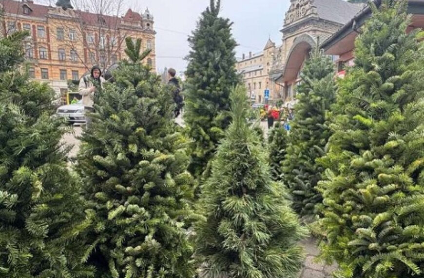 Дружина головного лісника Києва обросла нерухомістю та автомобілями