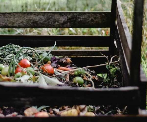 Як перестати нескінченно чекати компост: 5 секретів створення відмінного чорнозему