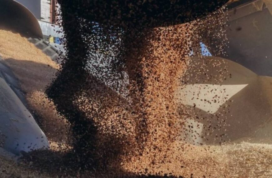 Україну обрали до Ради Продовольчої програми ООН