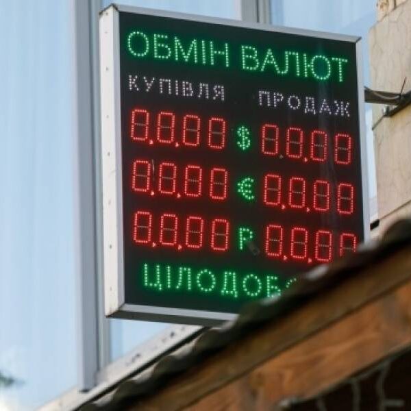 Збурень на валютному ринку і «євро по 50» до кінця серпня не буде – банкір