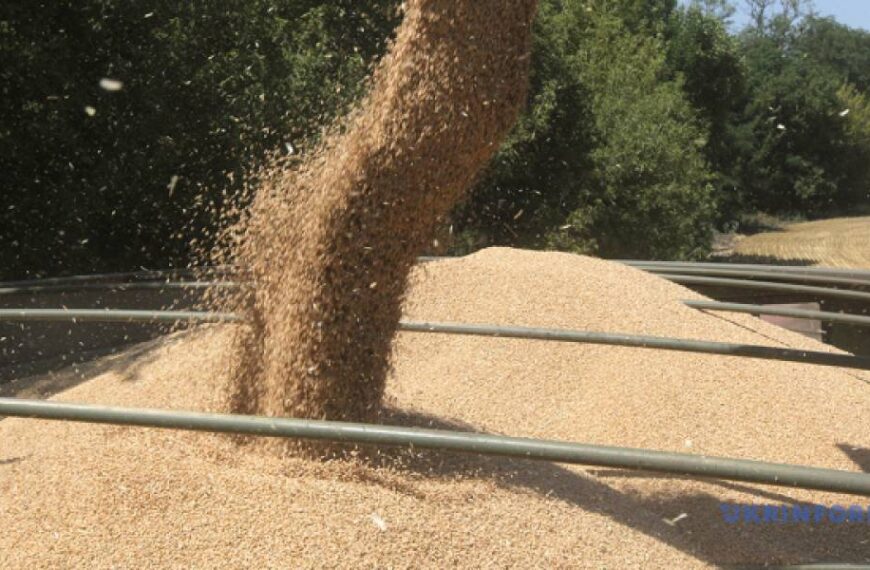 В Україні зібрали понад 15 мільйонів тонн зерна нового врожаю