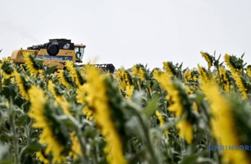 Із початку нового сезону Україна вже експортувала близько 5 мільйонів тонн соняшникової олії