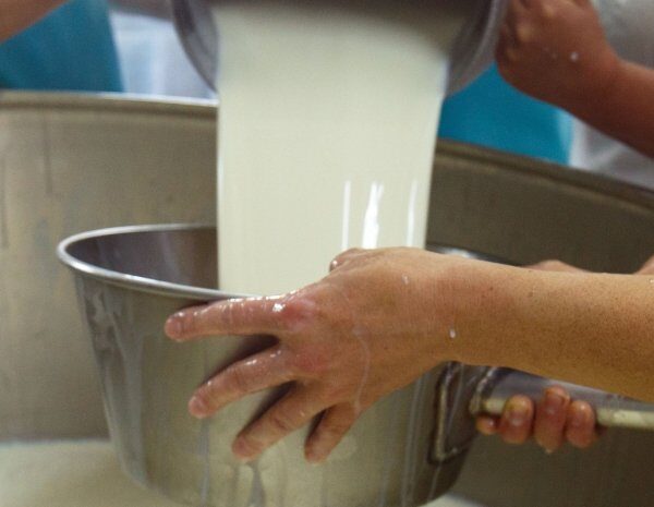 Молоко і масло дорожчають – причини зростання цін в Україні 2025