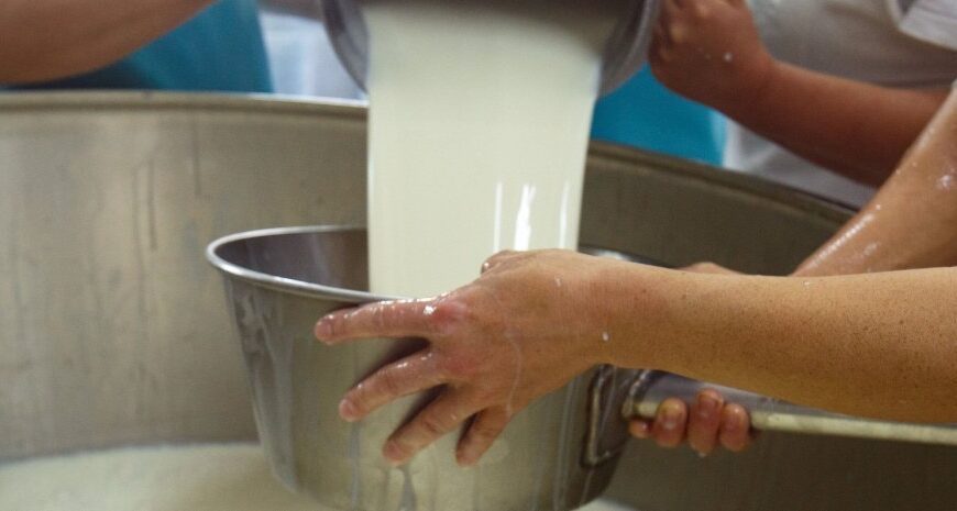 Молоко і масло дорожчають – причини зростання цін в Україні 2025