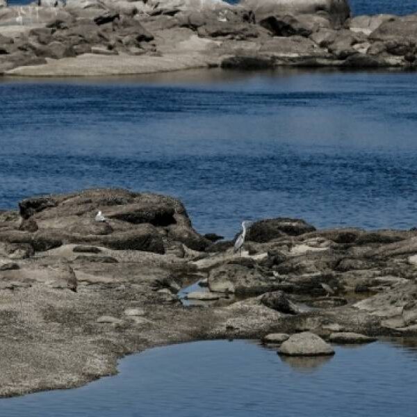 В Україні фіксують найменші за десятиріччя запаси води – до зими створюють резерв