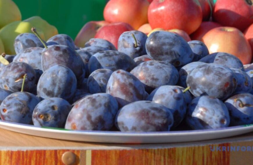 В Україні стрімко знижуються ціни на сливи