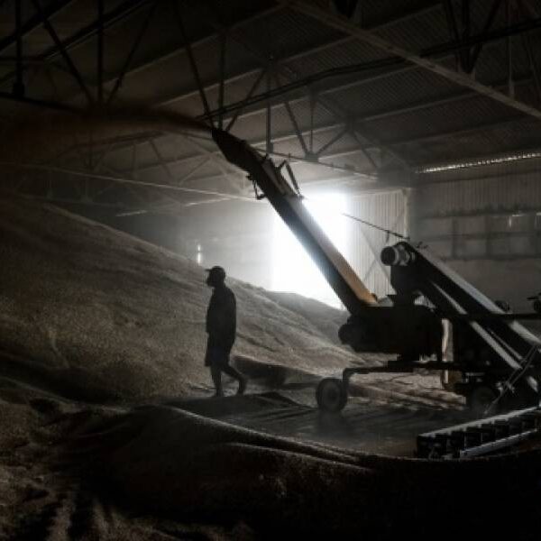 Українські аграрії вже зібрали майже 20 мільйонів тонн зерна