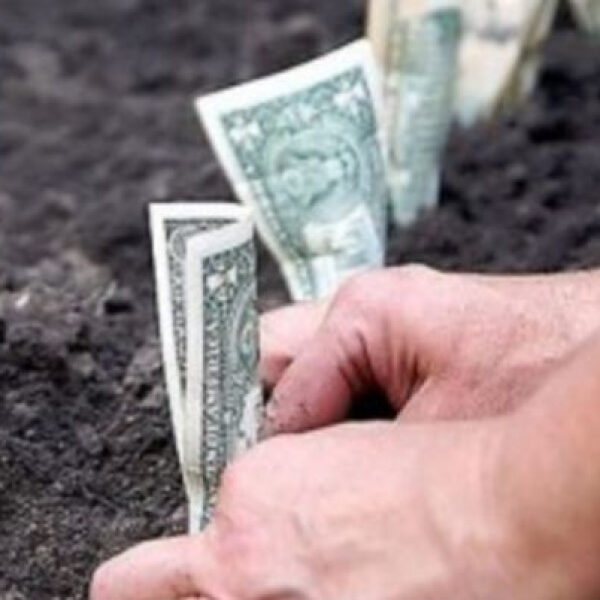 Гектар землі різко подорожчав