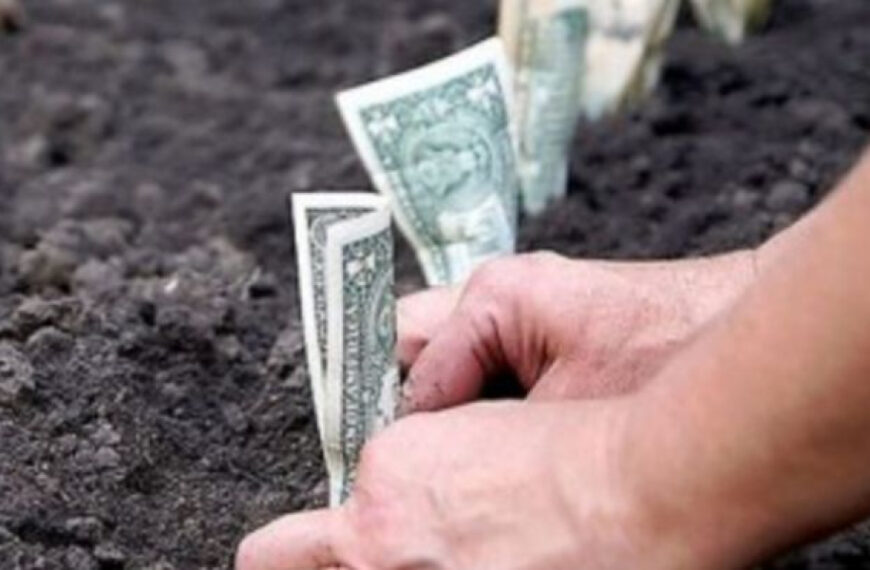 Гектар землі різко подорожчав