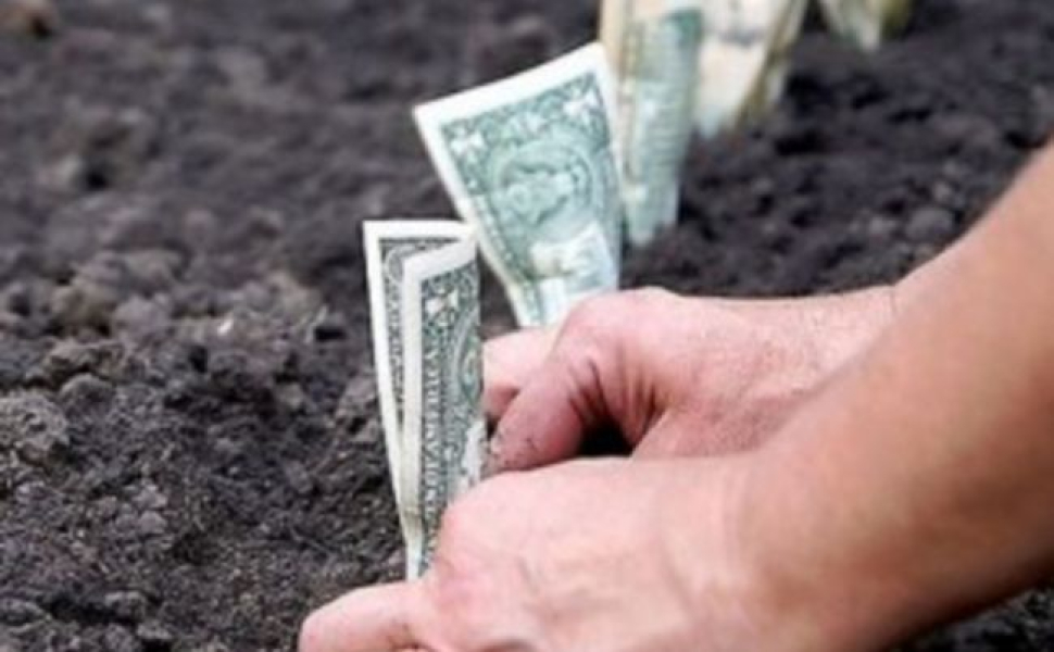 4288_avpvapyvapucaua-800x500_c_r695x430.jpg (34.38 Kb)