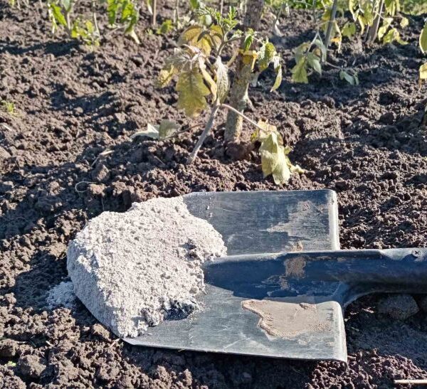 Навіщо додавати золу до грядок: несподіваний результат
