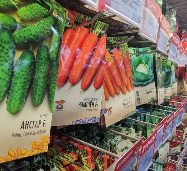 Сходи через 2 дні: як замочити насіння, щоб воно прокинулось миттєво