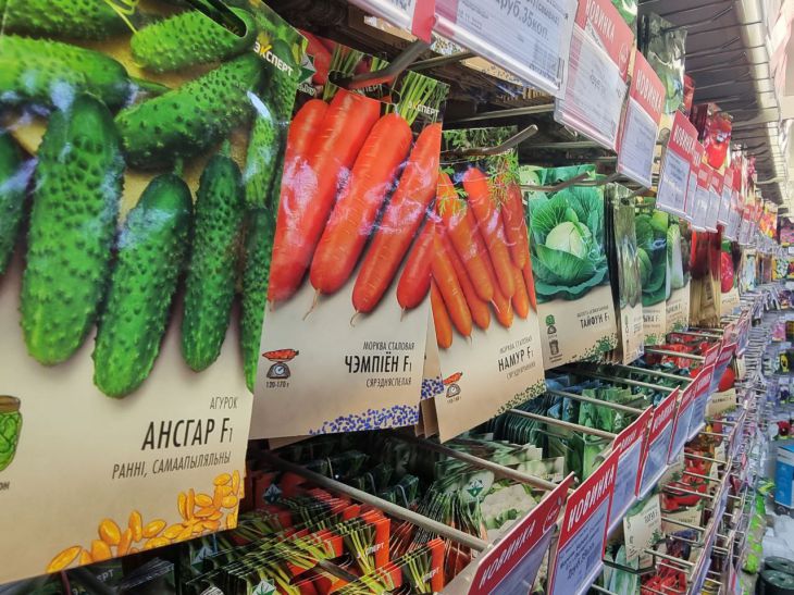 Сходи через 2 дні: як замочити насіння, щоб воно прокинулось миттєво семена