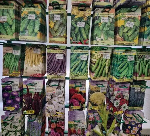 Як визначити якість насіння: залийте їх окропом і дивіться на реакцію