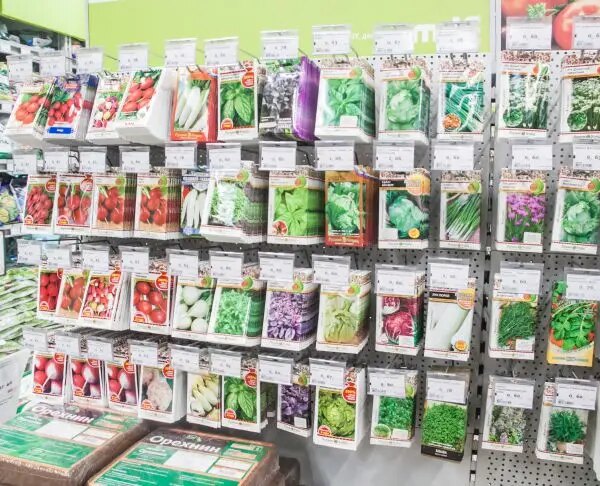 Стимулятор своїми руками: навіщо замочувати насіння у картопляному відварі