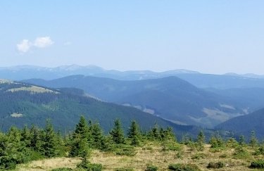 Агентство з розшуку та менеджменту активів знову виставляє на продаж землі в&hellip;