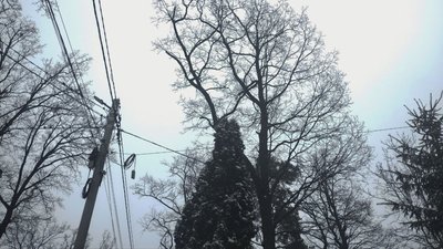 Київщина: Розклад вимкнень електроенергії на 10 квітня