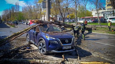 Звалища дерев та відключення світла: шторм наробив лиха у Київській області