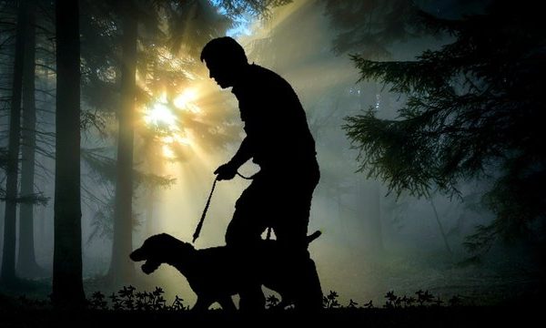 Народні депутати пропонують Верховній Раді оновити закони про полювання, зоозахисники висловлюються проти