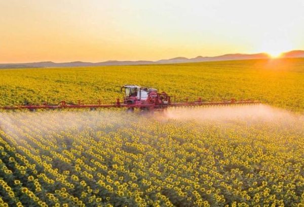 Ukravit радить застосовувати ад’юванти в умовах мінливої погоди — КУРКУЛЬ