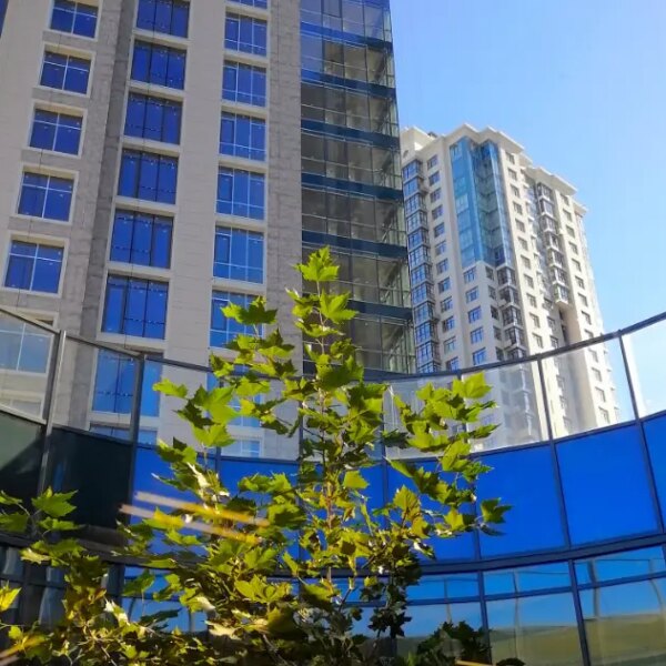 City One Development: Звітування за результатами роботи та огляд ринку новобудов станом на 2024 рік