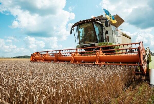 Урожайність ранніх зернових культур цього року майже на 40% перевищує минулорічні показники — КУРКУЛЬ
